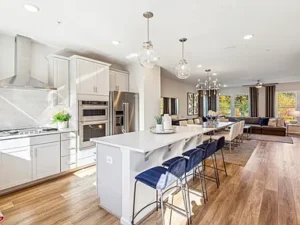 Main Street Town Center Executive Condo