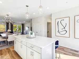 Main Street Town Center Executive Condo
