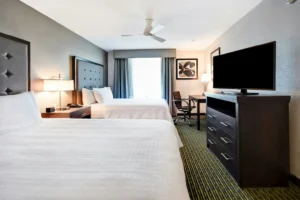 Novi Town Center Modern Suite
